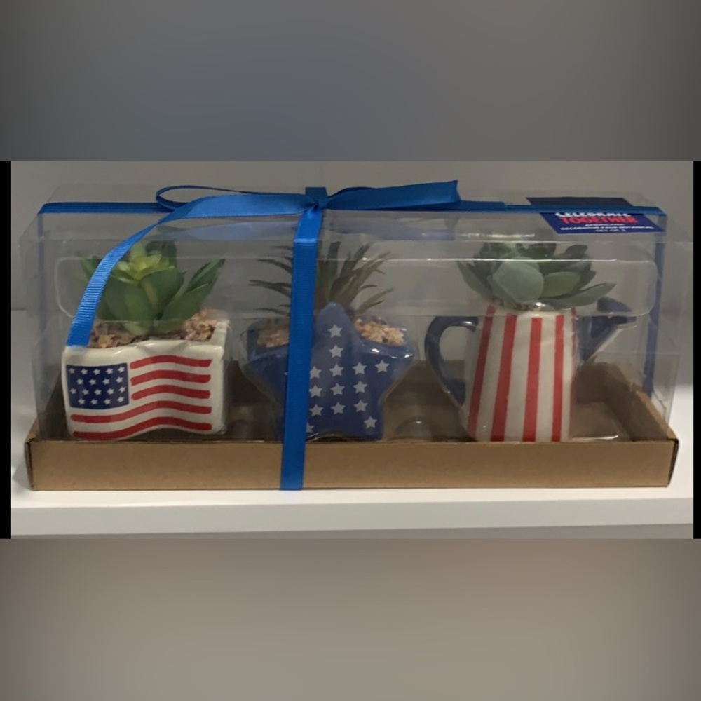 American Succulent Set Of 3 Ceramic Pot, Plastic Succulent,  Real Stone.